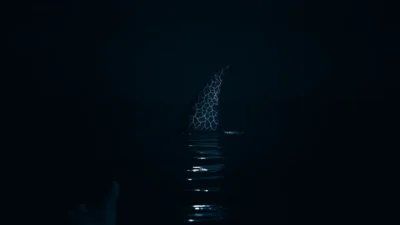 Traum von einer Orca-Flosse
